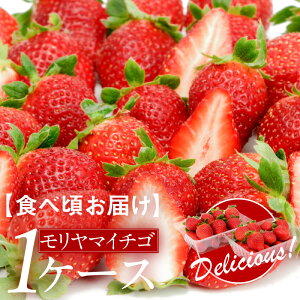 �y�ӂ邳�Ɣ[�Łz�y�H�׍����͂��z��s�\���t���I�������}�C�`�S1�P�[�X