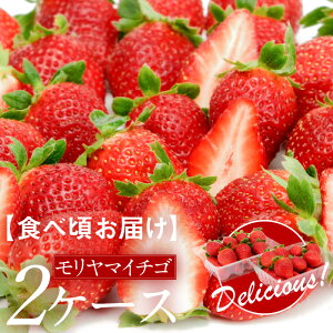 �y�ӂ邳�Ɣ[�Łz�y�H�׍����͂��z��s�\���t���I�������}�C�`�S2�P�[�X