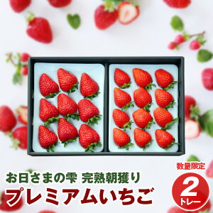 yӂ邳Ɣ[Łzʌ ̓̒ɍ̂ꂽ  2g[ ܂̎ lߍ킹 n n t[c ʕ  v~A 肩[ p 蕨 ꌧ Rs 