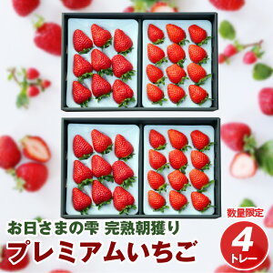 yӂ邳Ɣ[Łzʌ ̓̒ɍ̂ꂽ  4g[ ܂̎ lߍ킹 n n t[c ʕ  v~A 肩[ p 蕨 ꌧ Rs 