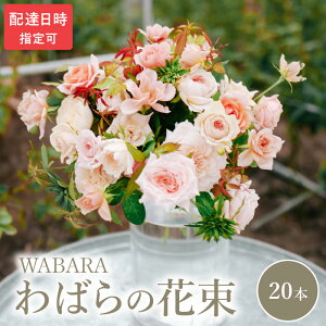yӂ邳Ɣ[Łz΂ 20{ x zBw ԑ ΂̎} E݂ WABARA ΂   CeA AW  ؂ Ԃ̂鐶 Jȕ炵 ① ꌧ Rs 