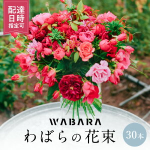yӂ邳Ɣ[Łz΂ 30{ x zBw ԑ ΂̎} E݂ WABARA ΂   CeA AW  ؂ Ԃ̂鐶 Jȕ炵 ① ꌧ Rs 