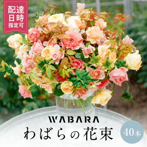 yӂ邳Ɣ[Łz΂ 40{ x zBw ԑ ΂̎} E݂ WABARA ΂   CeA AW  ؂ Ԃ̂鐶 Jȕ炵 ① ꌧ Rs 