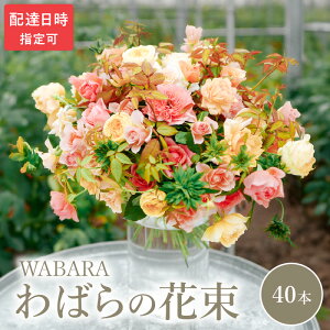 yӂ邳Ɣ[Łz΂ 40{ x zBw ԑ ΂̎} E݂ WABARA ΂   CeA AW  ؂ Ԃ̂鐶 Jȕ炵 ① ꌧ Rs 