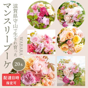 yӂ邳Ɣ[ŁzfUCς }X[u[P u[P ԑ 蕨 WABARA 20{ ΂̎} zBw Mtgdl Mtg  ؂ CeA AW Ԃ̂鐶  