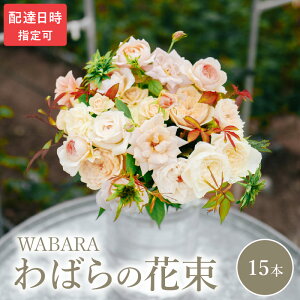 yӂ邳Ɣ[Łz΂ 15{ x Iׂ zB ԑ ΂̎} E݂ WABARA ΂   CeA AW  ؂ Ԃ̂鐶 Jȕ炵 ① ꌧ Rs 