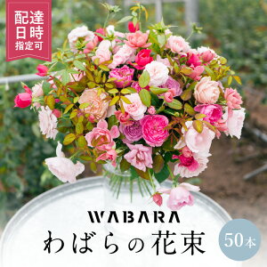 yӂ邳Ɣ[Łz΂ 50{ x zBw ԑ ΂̎} E݂ WABARA ΂   CeA AW  ؂ Ԃ̂鐶 Jȕ炵 ① ꌧ Rs 