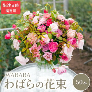 yӂ邳Ɣ[Łz΂ 50{ x zBw ԑ ΂̎} E݂ WABARA ΂   CeA AW  ؂ Ԃ̂鐶 Jȕ炵 ① ꌧ Rs 
