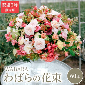 yӂ邳Ɣ[Łz΂ 60{ x zBw ԑ ΂̎} E݂ WABARA ΂   CeA AW  ؂ Ԃ̂鐶 Jȕ炵 ① ꌧ Rs 