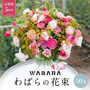 yӂ邳Ɣ[Łz΂ WABARA ԑ50{ց@5