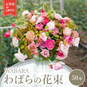 yӂ邳Ɣ[Łz΂ WABARA ԑ50{ց@5