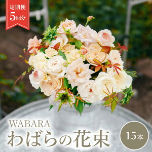 yӂ邳Ɣ[Łz΂ԑ  15{ 5 Rose Farm KEIJI WABARA }[i
