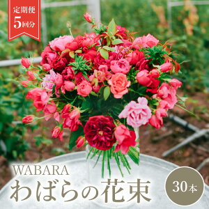 yӂ邳Ɣ[Łz΂ԑ  30{ 5 Rose Farm KEIJI WABARA }[i