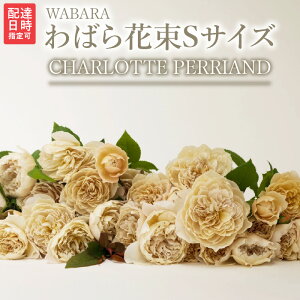 yӂ邳Ɣ[Łz΂̉ԑ ԑ ao 15{ x zBw E݂ S-ROSE CHARLOTTE PERRIAND ō Vi  o t[ A v[g Mtg 蕨 Ԃ̂鐶 