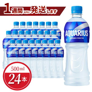 yӂ邳Ɣ[Łz1TԈȓɔ ANGAX 500ml PET 24{ RJER[ lC ybg{g  X|[c X|[chN hN \tghN MǑ΍ ~l A~m