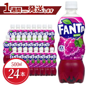 yӂ邳Ɣ[Łzt@^ O[v PET 500ml 24{ 1P[X RJER[ lC ybg{g  ԂǂW[X W[X hN \tghN Y_ Fsgp FANTA 
