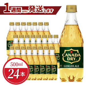 yӂ邳Ɣ[Łz1TԈȓɔ Ji_hC WW[G[ 500ml 24{ Zbg 1P[X  ybg{g  hN RJER[ WW[GLX ÂT XbL hCȎh