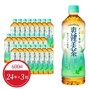 yӂ邳Ɣ[Łzyցz 3 u ybg{g 600ml 24{ z mJtFC JtFC[ uh  hN   RJER[Аi RJER[ ⋋ 