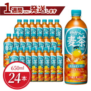 yӂ邳Ɣ[Łz₩̔ from u PET 650mli24{j
