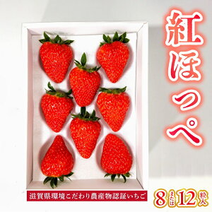 �y�ӂ邳�Ɣ[�Łz�y�\���t�z���ꌧ�� ������� �_�Y���F�� ������ �g�ق��؁i8�܂���12���j1�� �ق��؂��������邮�炢���������I �嗱 �{�ɂ��͂� �ʕ� ��������Ƃ����ʓ� �Î_��