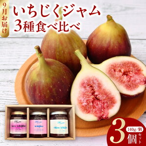 yӂ邳Ɣ[ŁzW 3 Hה 140g × 3 Zbg Ԃ   h[tB oi[l rI\GX  CAFE BIG GATE R{ IWi W g[