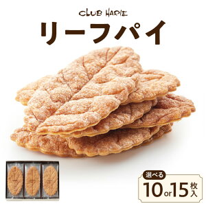yӂ邳Ɣ[ŁzNunG [tpC Iׂ e 10 / 15 pC o^[ ΂ 킢 Ö ̈i  َq ĉَq   eB[^C  