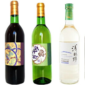 【ふるさと納税】BIWA・浅柄野セット　【赤ワイン・お酒・白ワイン・ワイン・ロゼワイン】