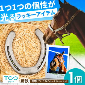 【ふるさと納税】TCCホースシュー 世界に一つだけの蹄鉄 / 競馬 馬 競走馬 グッズ インテリア 幸運 お守り / 栗東市 / 株式会社TCC Japan[BIAV003]