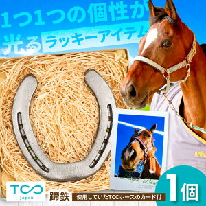yӂ邳Ɣ[ŁzTCCz[XV[ EɈ̒S / n n n ObY CeA K^ / Is / TCC Japan[BIAV003]