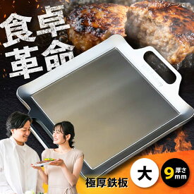 【ふるさと納税】極厚鉄板【大】9mm厚（TMS-90） / 鉄板 バーベキュー BBQ キャンプ アウトドア 極厚 ソロキャンプ 焼肉 鉄板焼き キャンプ用 グリルプレート 滋賀県 ステーキ 調理器具 フライパン 持ち運び 屋外 / 栗東市 / M.M.Factory[BIBA002]