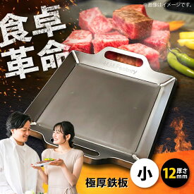 【ふるさと納税】極厚鉄板【小】12mm厚（TS-120） / 鉄板 バーベキュー BBQ キャンプ アウトドア 極厚 滋賀県 グリルプレート ステーキ 焼肉 調理器具 調理プレート フライパン 屋外 野外 ソロキャンプ 本格 プロ仕様 コンパクト / 栗東市 / M.M.Factory[BIBA014]