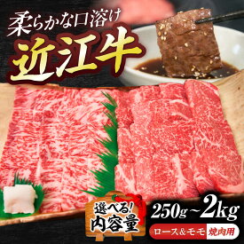 【ふるさと納税】【選べる容量】近江牛ロース＆モモ（焼肉）250g~2kg / 牛肉 焼き肉 近江牛肉 肉 赤身 霜降り 黒毛和牛 和牛 牛 国産牛 ブランド牛 グルメ 高級肉 焼肉セット 焼肉用 赤身肉 サーロイン リブロース 国産 滋賀県 / 栗東市 / 有限会社 岡山[BIBE046]