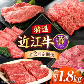 【ふるさと納税】【全2回定期便】特選近江牛「贅」 / 牛肉 焼き肉 近江牛肉 肉 赤身 霜降り 黒毛和牛 和牛 牛 国産牛 ブランド牛 グルメ 高級肉 焼肉セット 焼肉用 すき焼き しゃぶしゃぶ すきやき肉 定期便 滋賀県 / 栗東市 / 有限会社 岡山[BIBE025]
