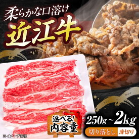 【ふるさと納税】【選べる容量】近江牛切り落とし（薄切り）250g~2kg / 牛肉 近江牛肉 肉 赤身 霜降り 鍋 ロース 黒毛和牛 和牛 牛 グルメ 国産牛 切落とし 家庭用 冷凍 便利 老舗 炒め物 小間切れ こま切れ カレー 肉じゃが 牛丼 滋賀県 / 栗東市 / 有限会社 岡山[BIBE052]