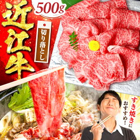【ふるさと納税】近江牛 すき焼き用 切り落し 500g / 牛肉 a5 すき焼き 近江牛肉 すきやき 肉 赤身 霜降り 鍋 ロース 黒毛和牛 和牛 牛 すきやき肉 国産牛 切落とし a5肉 ふるさと納税 10000円 冷凍 便利 小間切れ こま切れ 滋賀県 / 栗東市 / 元三フード株式会社[BIBH005]
