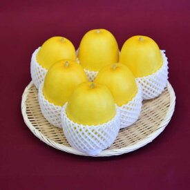 【ふるさと納税】【2026年7月下旬より順次発送】旬の野菜 懐かしまっか便（栽培期間中、農薬・化学肥料・動物性堆肥不使用）/ まくわうり セット 詰め合わせ 新鮮 野菜 旬 / 滋賀県 栗東市 / ワダケン リアルソイルハウス[BIBM006]