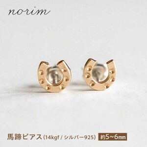 yӂ邳Ɣ[ŁznsAX 14kgf ×Vo[925 / n n ObY n nhCh sAX ANZT[ Vo[ / Is / norim[BIBP011]