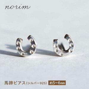 yӂ邳Ɣ[Łzn sAX Vo[925 / n n ObY n nhCh O ANZT[ Vo[sAX / Is / norim[BIBP014]
