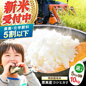 yӂ邳Ɣ[ŁzyIׂeʁzߘa7NxY IY ʍ͔| RVqJ /  ͂ Sn   ߘa7NY / Is / [N_Ƌg[BIBV004]