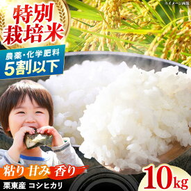 【ふるさと納税】令和6年度産 栗東産 特別栽培米 コシヒカリ 10kg ご飯 ごはん ゴハン 栗東市 / レーク滋賀農業協同組合[BIBV004]