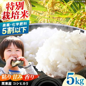 【ふるさと納税】令和6年度産 栗東産 特別栽培米 コシヒカリ 5kg / ご飯 ごはん ゴハン 新米 令和6年産 / 栗東市 / レーク滋賀農業協同組合[BIBV007]