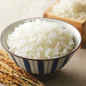 【ふるさと納税】令和7年度産 栗東産 こんぜ清流米 コシヒカリ5kg / 白米 お米 ご飯 コメ 特別栽培米 近江米 / 栗東市 / レーク滋賀農業協同組合[BIBV008]