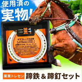 【ふるさと納税】【JRA/日本中央競馬会】競走馬が使用した蹄鉄と蹄釘のセット / 競馬 馬 競走馬 グッズ サラブレッド トレセン ホースシュー 幸運 インテリア / 栗東市 / 社会福祉法人パレット・ミル[BICB001]