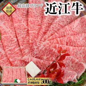 yӂ邳Ɣ[Łzy①zywK{zߍ]@ĂEԂԗp@500g | ߍ]r[t Ă BBQ 500O 500g   ɂ  ꌧY  Mtg lC  