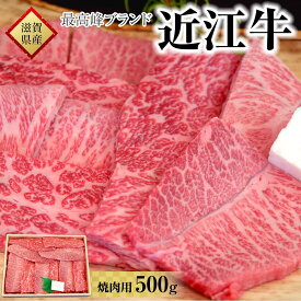 【ふるさと納税】肉 牛肉 近江牛 焼肉 500g | お肉 滋賀 高級 ブランド 黒毛和牛 焼き肉 やきにく ギフト 冷蔵 人気 おすすめ BBQ バーベキュー アウトドア キャンプ 国産 着日指定必須