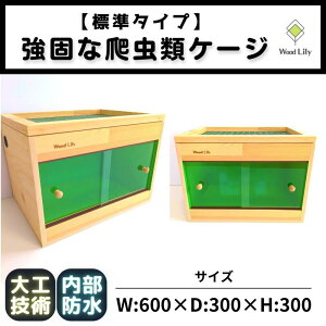 yӂ邳Ɣ[Łzy40NHďCzł঒ރP[W(O[)60×30×30cm | bs HďC  ybgpi ঒ގ ؐP[W O[J[ lC  P[X Ce
