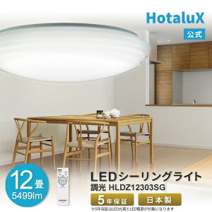 yӂ邳Ɣ[Łzz^NX LEDV[OCgi`12j HLDZ12303SG | Ɩ pi lC  