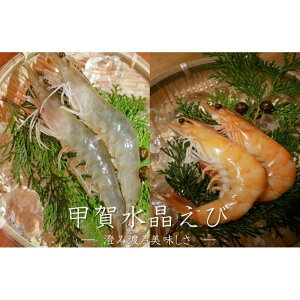yӂ邳Ɣ[Łzbꐅ 200g × 2pbN | bꐅ Gr  CV  Y Hi lC  