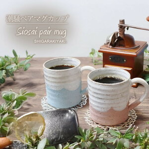 yӂ邳Ɣ[ŁzyyAZbgzMy iu[EsNj}OJbv