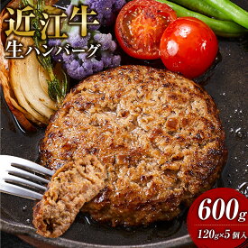 【ふるさと納税】近江牛 生ハンバーグ 120g×5個入 | 甲賀市 ブランド牛 ハンバーグ 国産牛肉 手作り風 ジューシー 人気 おすすめ 牛肉 和牛 グルメ 洋食 おかず お取り寄せ 通販 送料無料 ふるさと納税